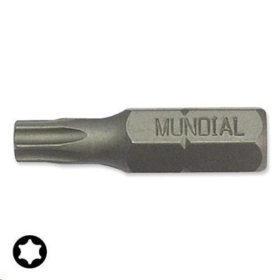 INSERTO TORX T40X25